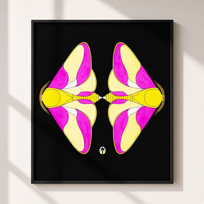 Marvelous Moths