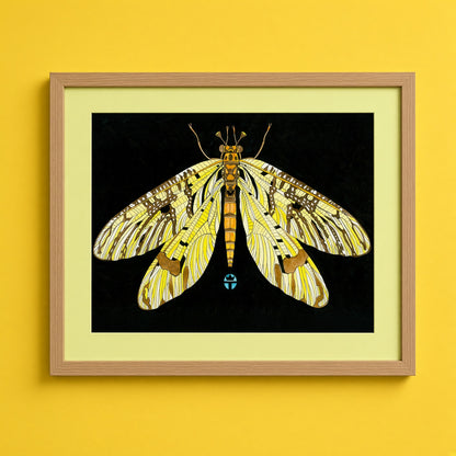 May Fly