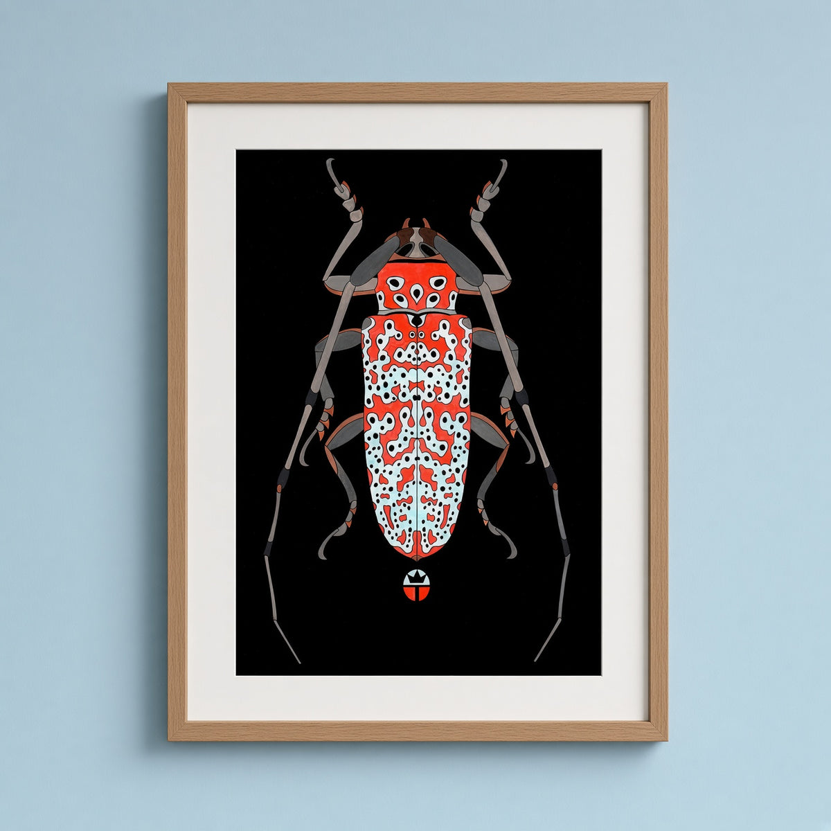 Beautyfull Beetle 3