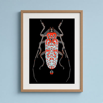 Beautyfull Beetle 3
