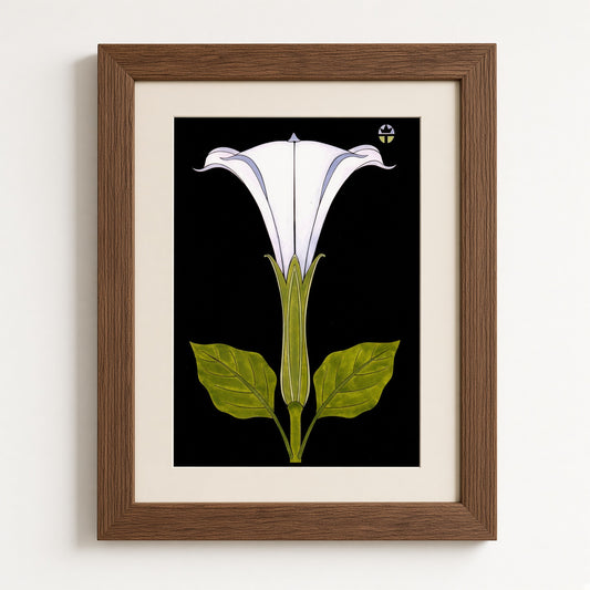 Sacred Datura