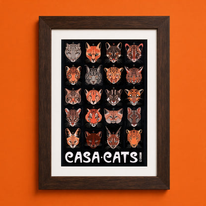Casa Cats Poster