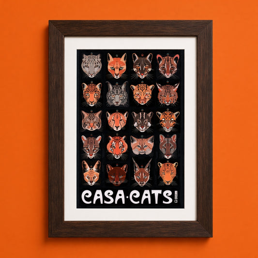 Casa Cats Poster