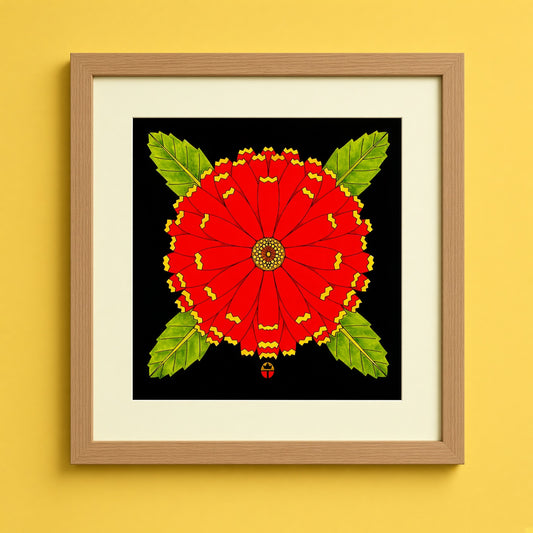 Coreopsis