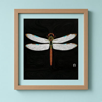 Dragonfly