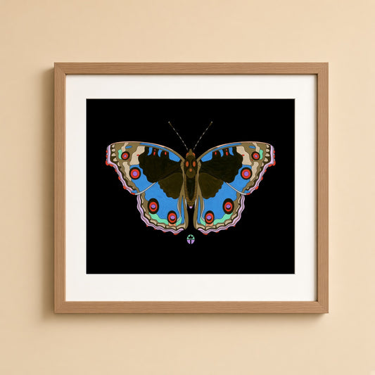 Junonia
