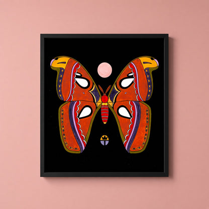Atlas Moth