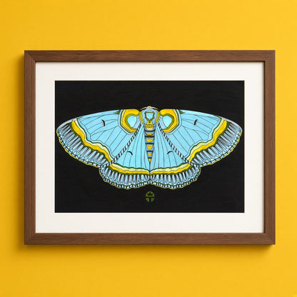 Blue Angel