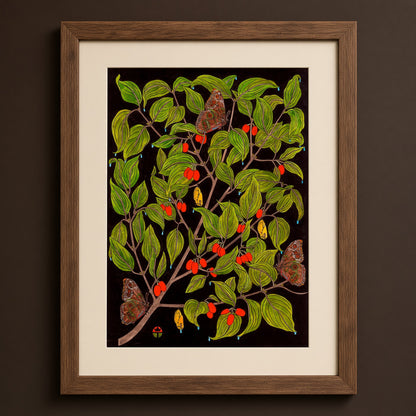 Emergence [Cornelian Cherry]