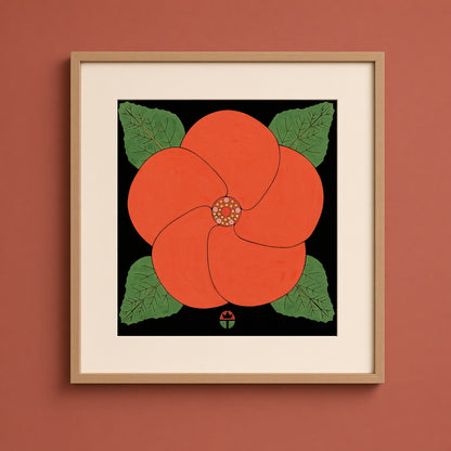 Hibiscus