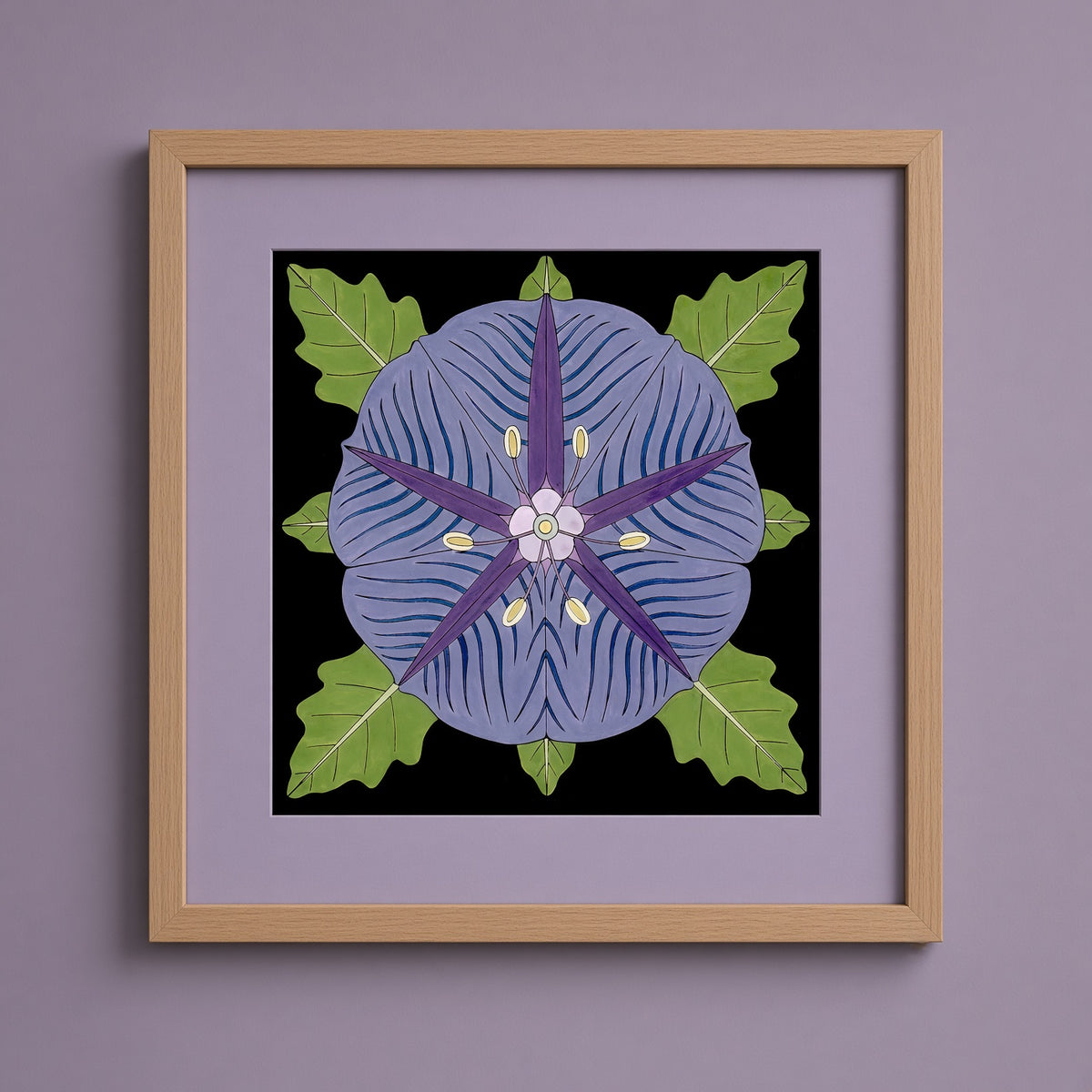 Purple Groundcherry