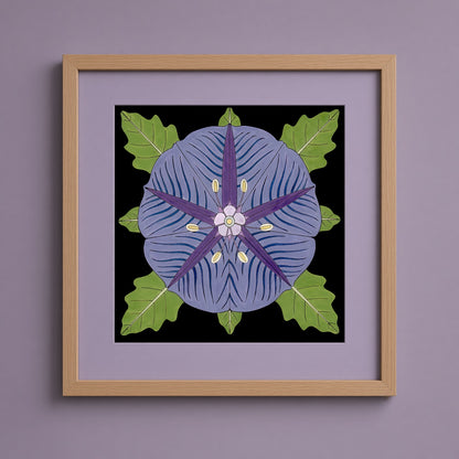 Purple Groundcherry