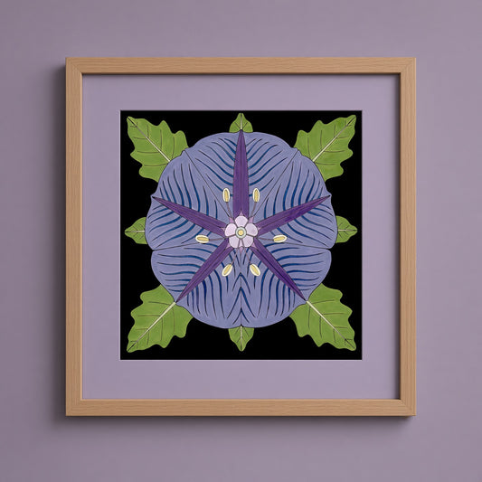 Purple Groundcherry