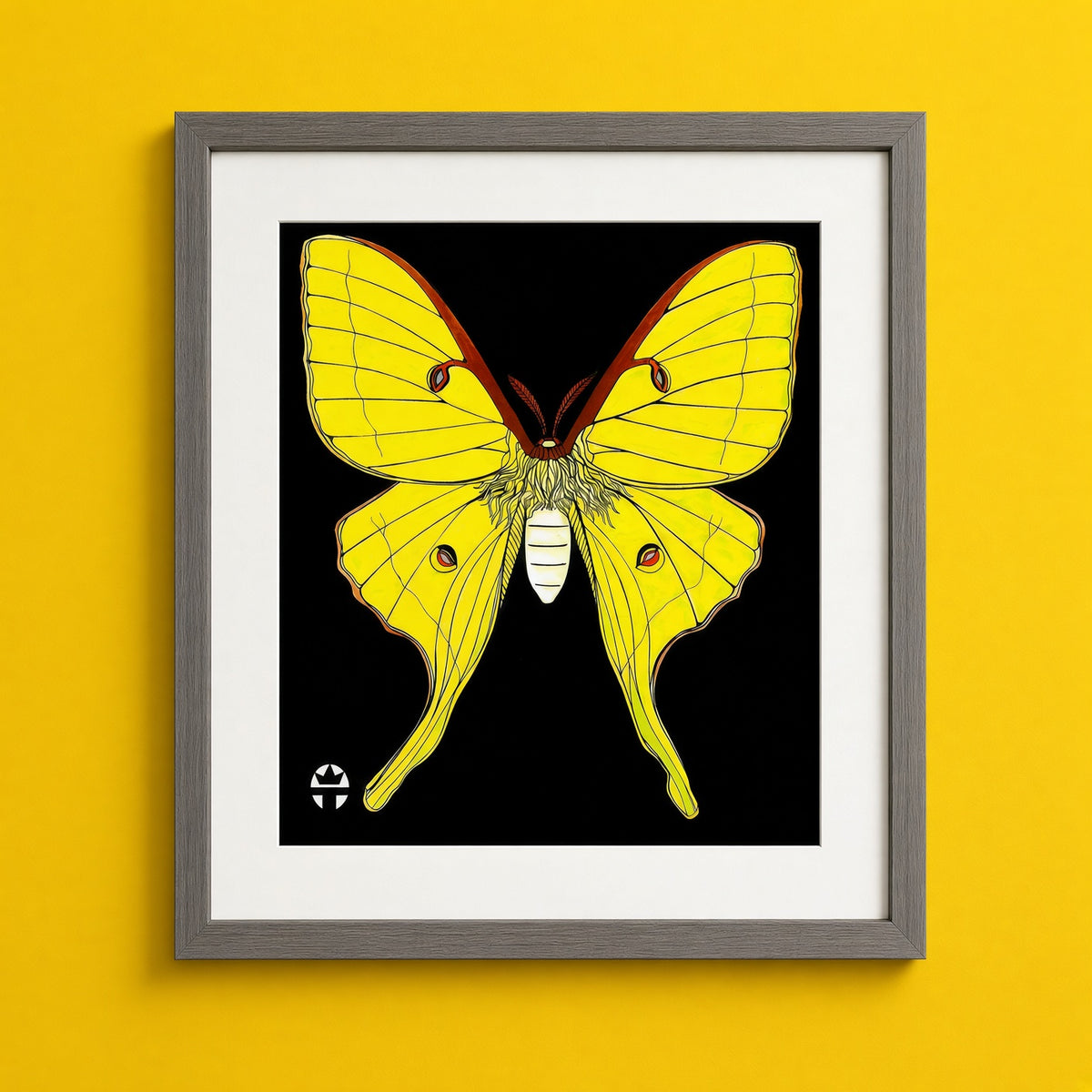 Luna Moth