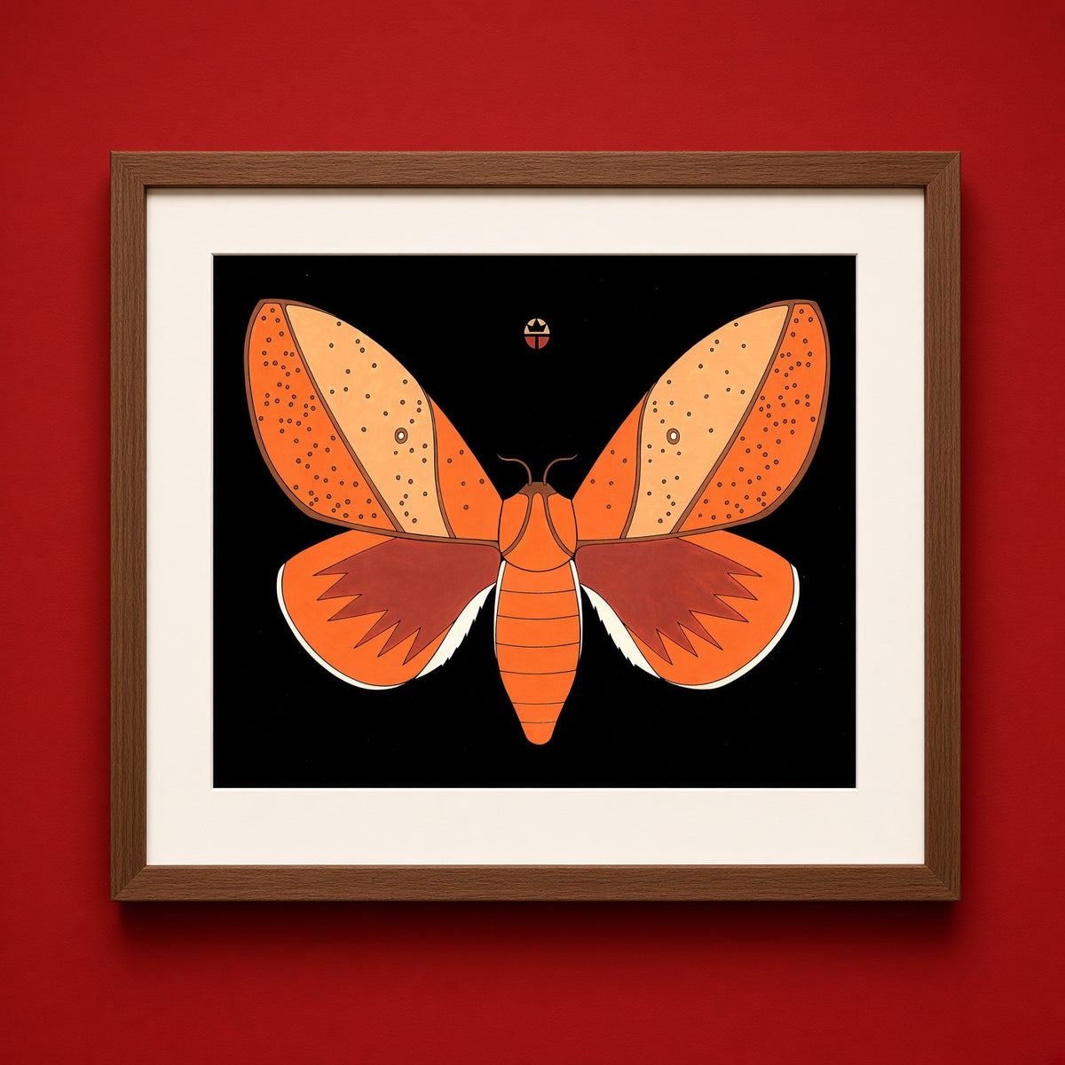 Sphingcampa