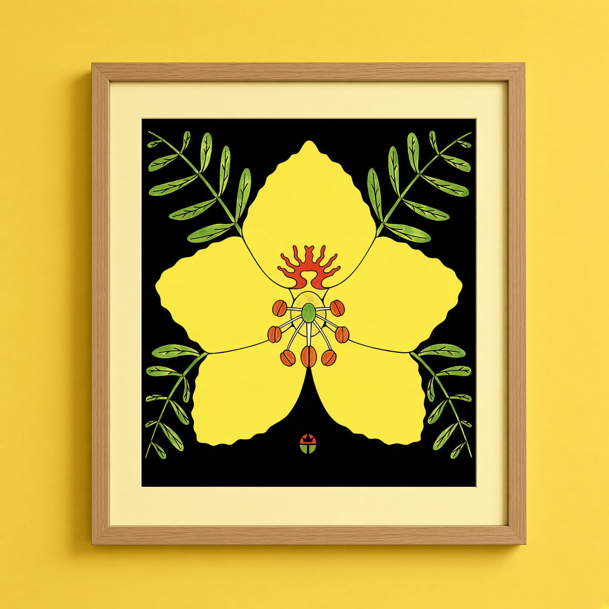 Palo Verde Blossom