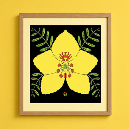Palo Verde Blossom