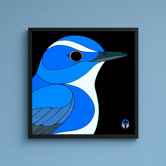 Ultramarine Flycatcher