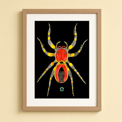 Jumping Spider