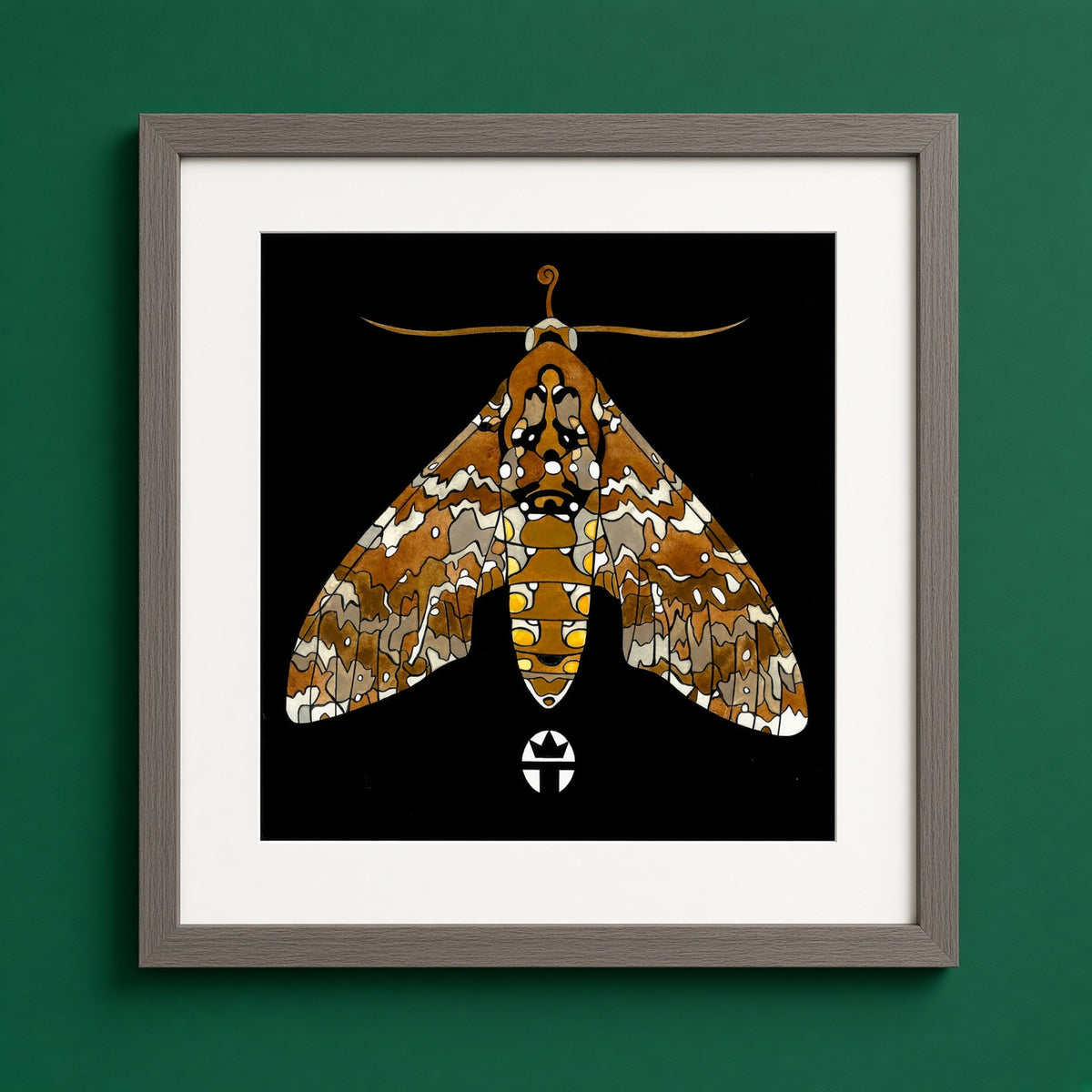 Hawk Moth