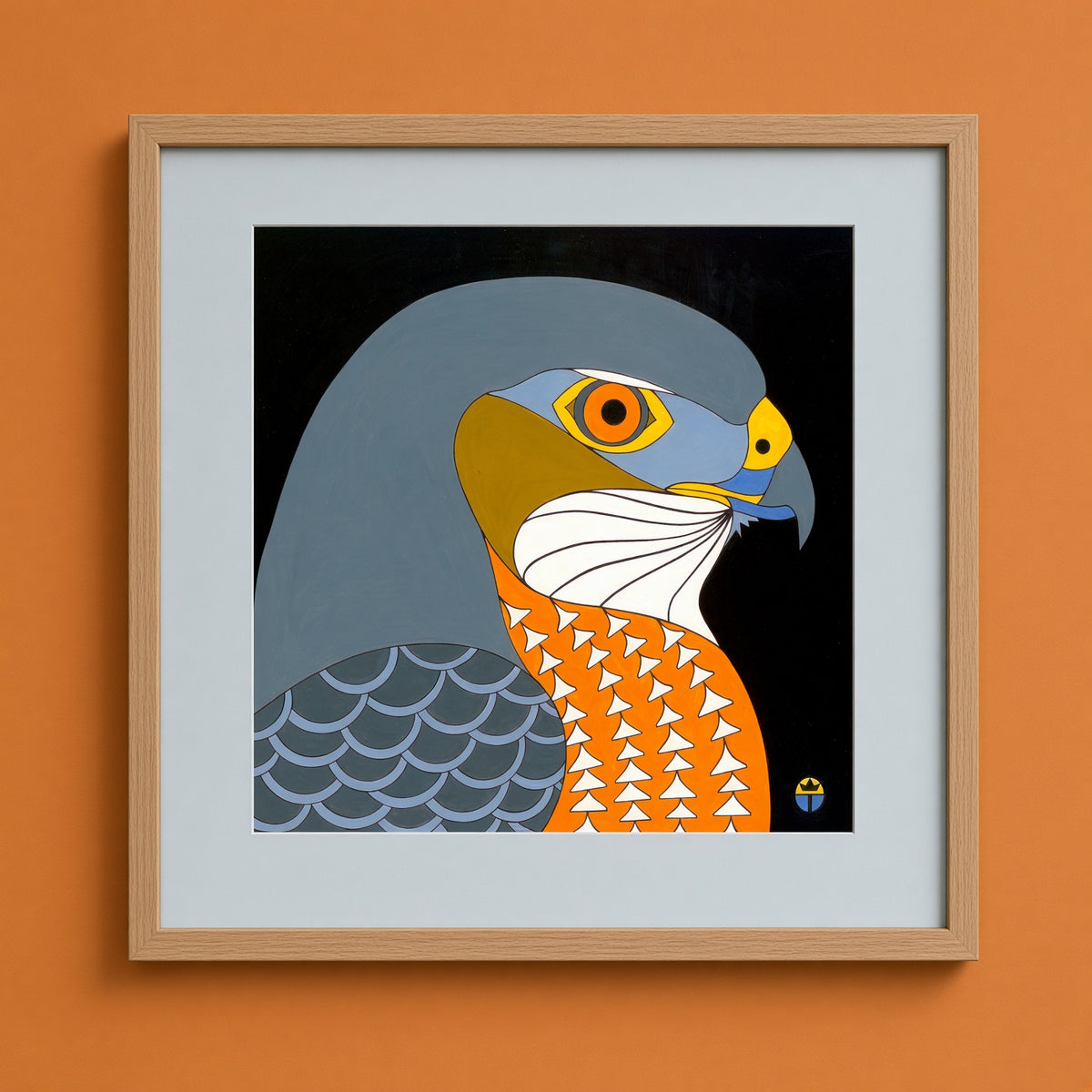 Coopers Hawk