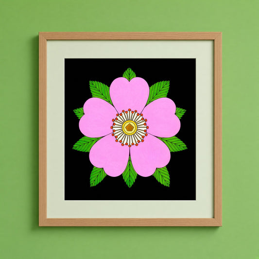 Wild Rose