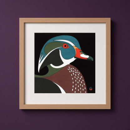 Wood Duck