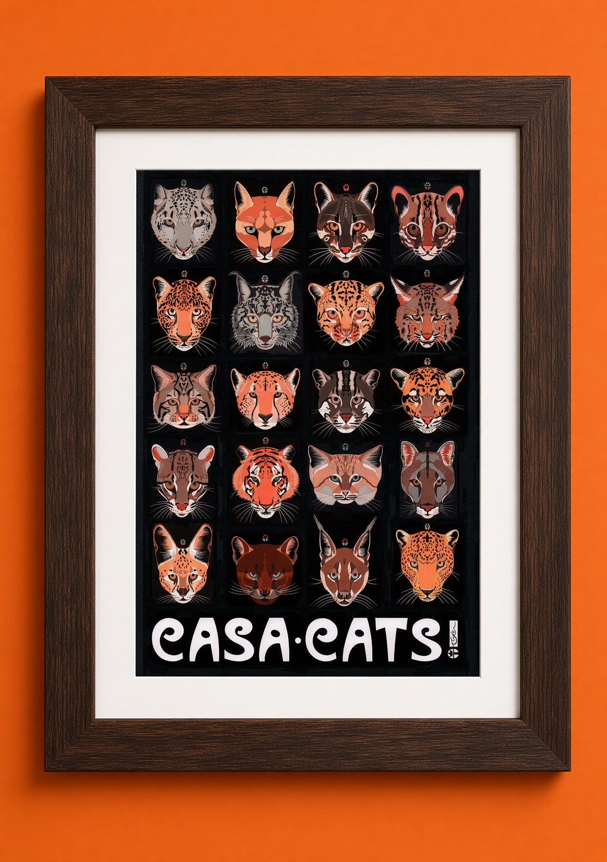 Casa Cats Poster