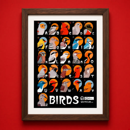 Birds Poster