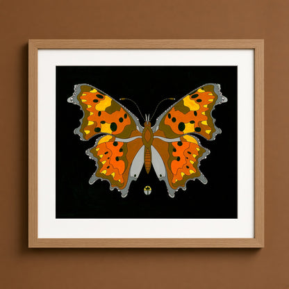 Hoary Comma