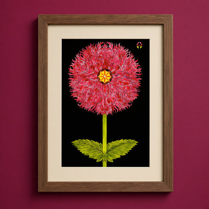 Hybrid Poppy
