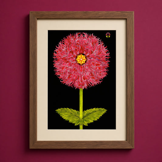 Hybrid Poppy