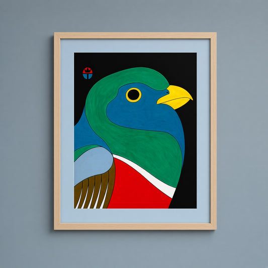 Elegant Trogon