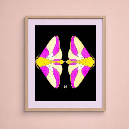 Marvelous Moths