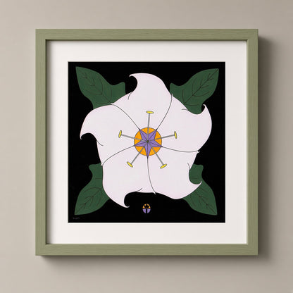 Datura Twist