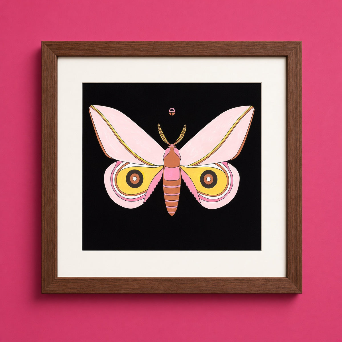 Pink Cecrops (Sold)