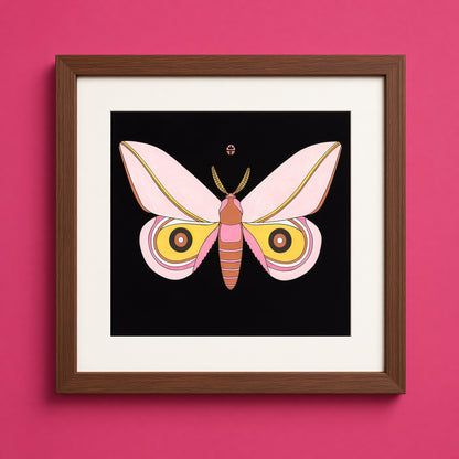 Pink Cecrops (Sold)