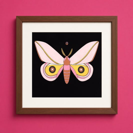 Pink Cecrops (Sold)