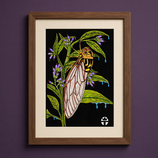 Cicada Comfrey