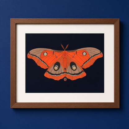 Antheraea