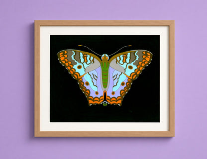 White Peacock