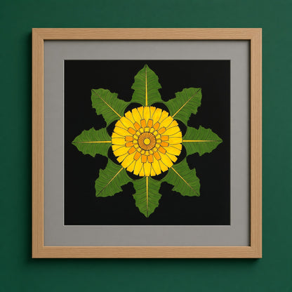 Dandelion