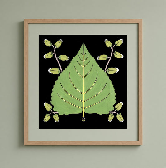 Cottonwood