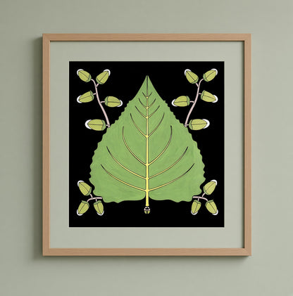 Cotton Wood