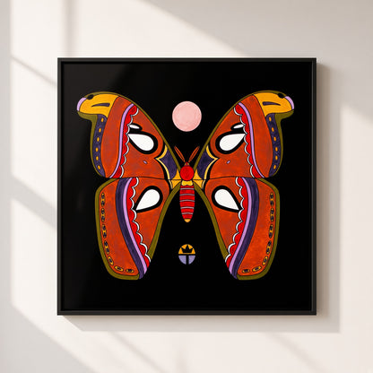 Atlas Moth