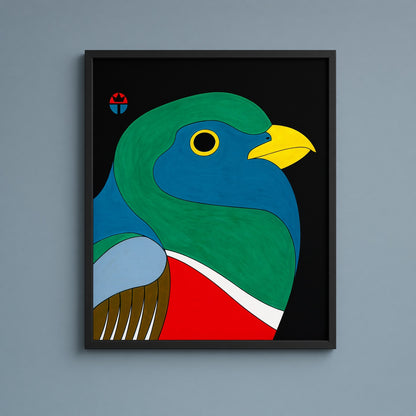 Elegant Trogon