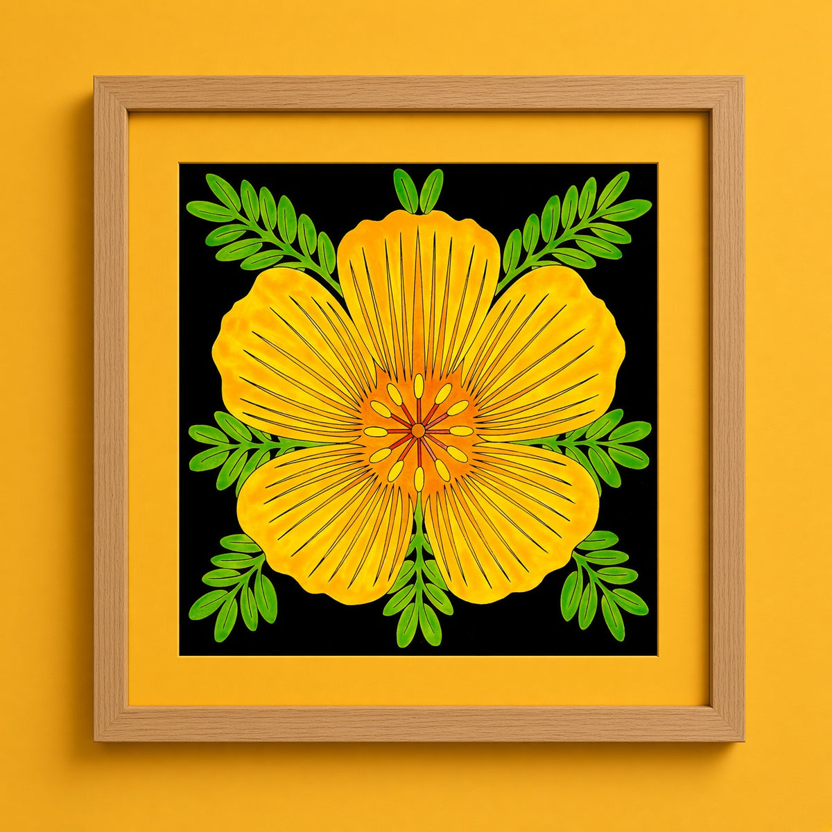 Desert Poppy