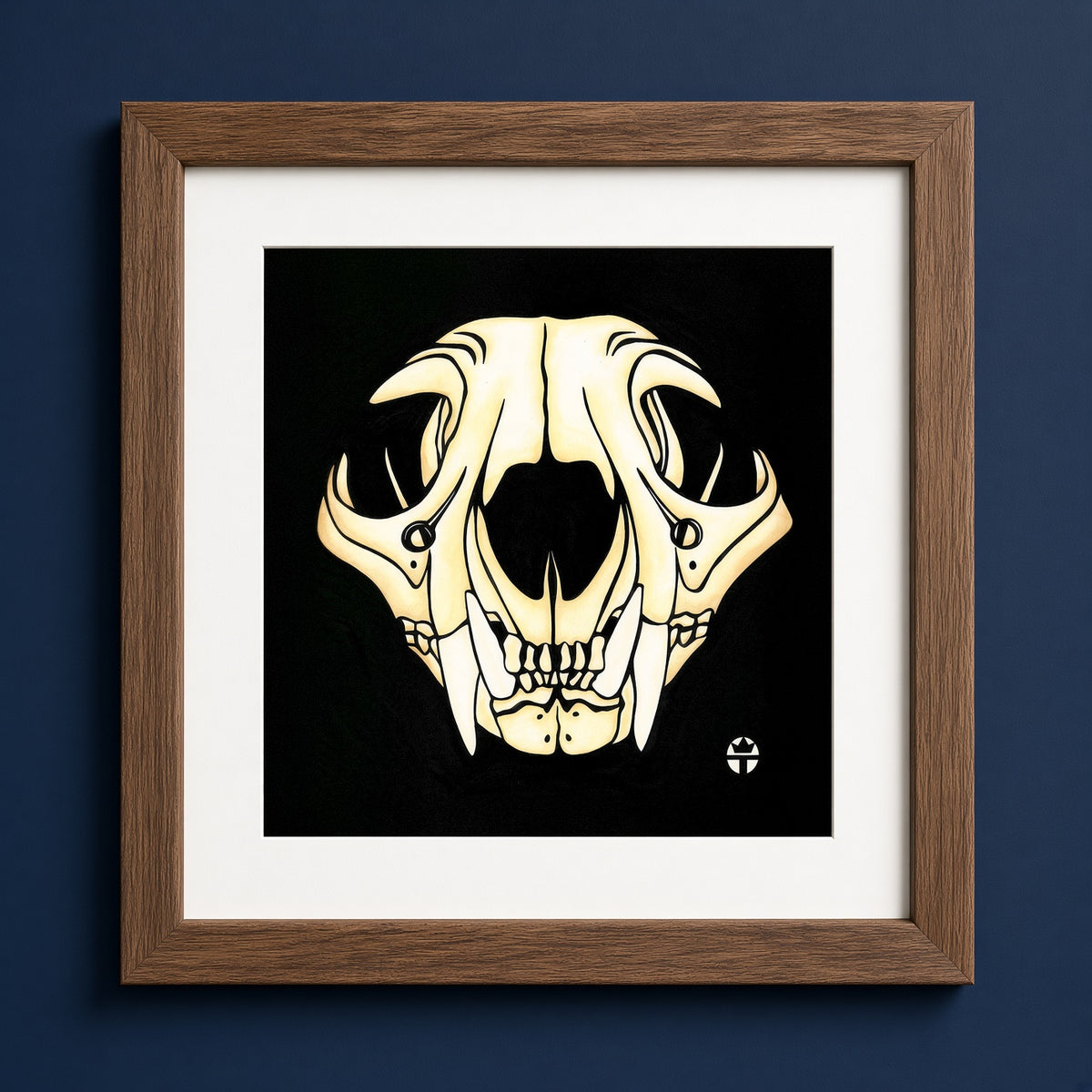 Bobcat Skull