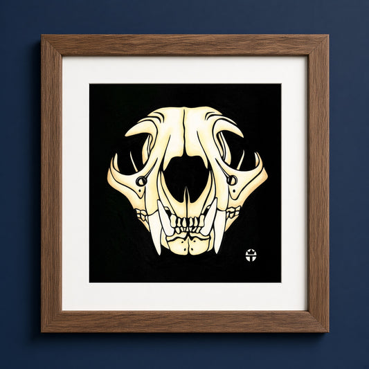 Bobcat Skull