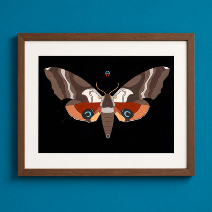 One Eyed Sphinx